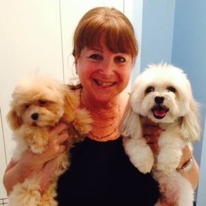 Meet your Posher, Lori